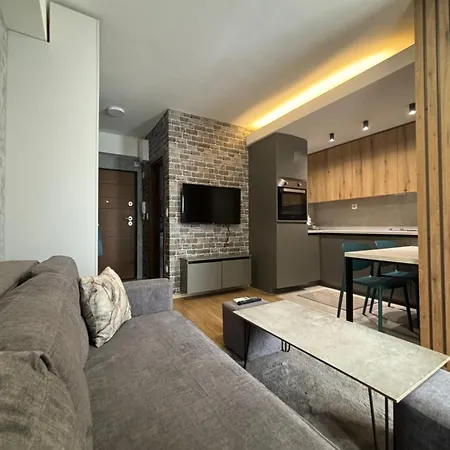 Luxury 2 Apartment *